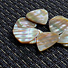 Abalone Tones Awabi Abalone Guitar Plectrums