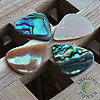 Abalone Tones - Variety Pack
