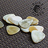 Bone Tones White Buffalo Horn Guitar Plectrums