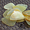 Flexi Tones Classic Style Guitar Plectrums