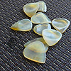 Funk Tones Clear Horn Guitar Plectrums