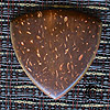 Gypsy Tones Coconut Guitar Plectrums