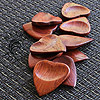 Heart Tones Padauk Guitar Plectrums