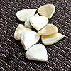 Jazz Tones White Horn Guitar Plectrums