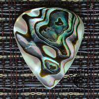 Abalone Tones Green Abalone Guitar Plectrums