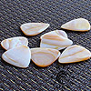 Shell Tones Mussel Shell Guitar Plectrums